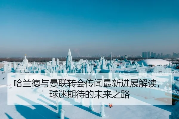 哈兰德与曼联转会传闻最新进展解读，球迷期待的未来之路